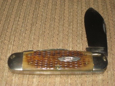 sun fish.jpg