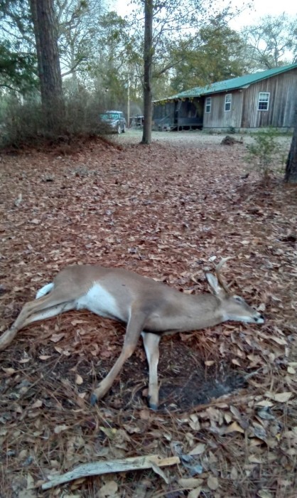 About 75' from the front porch