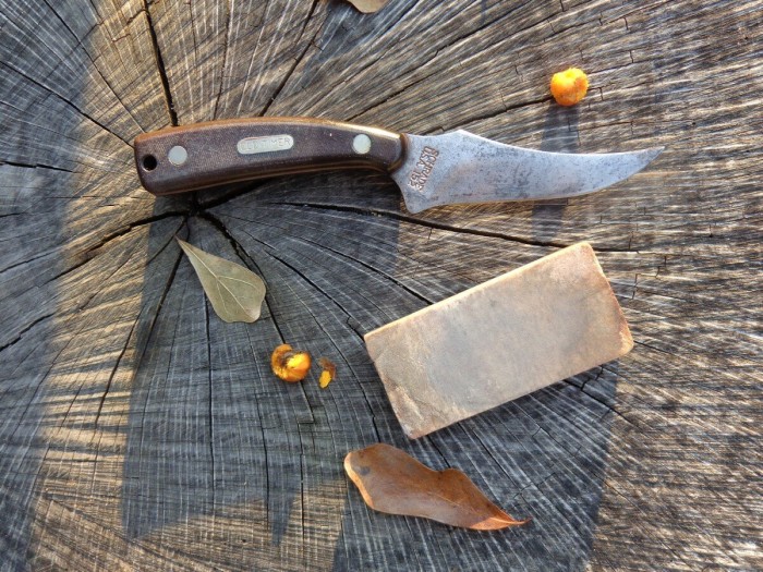 Sharpfinger11.jpg
