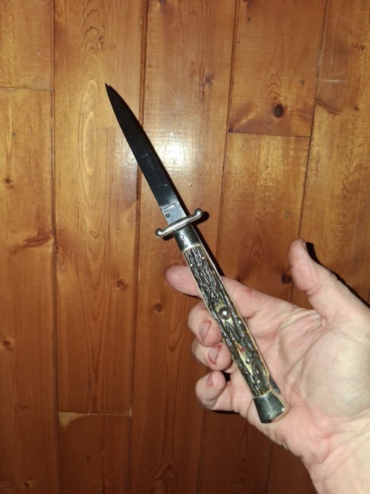 351.jpg