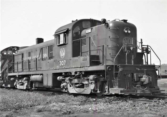 1000041906.jpg
