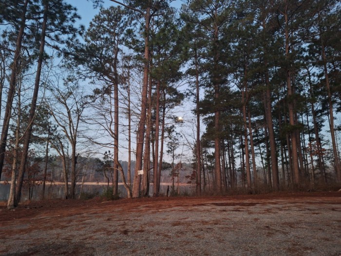 20260305_054705.jpg
