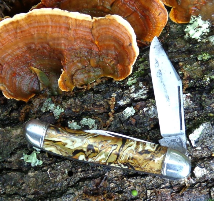 Hammer11a.jpg