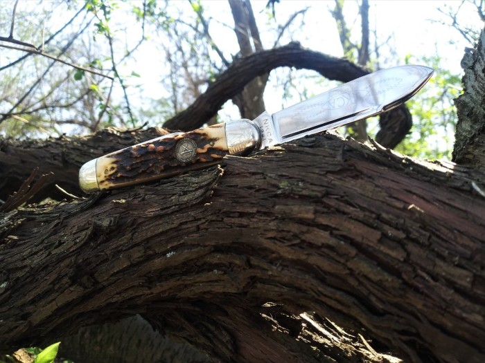 Queen Stag NKCA on the trail II.jpg