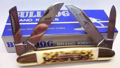 Bulldog Stag 25th Anniversary Congress.JPG