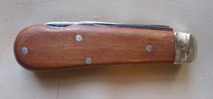 RIMG4126.JPG