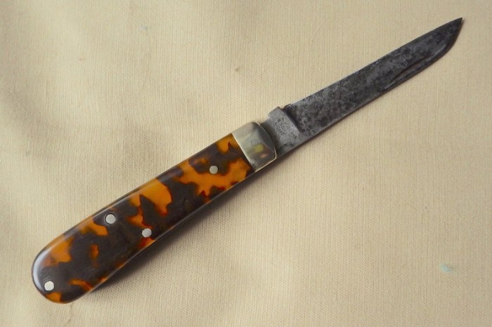 RIMG4130.JPG