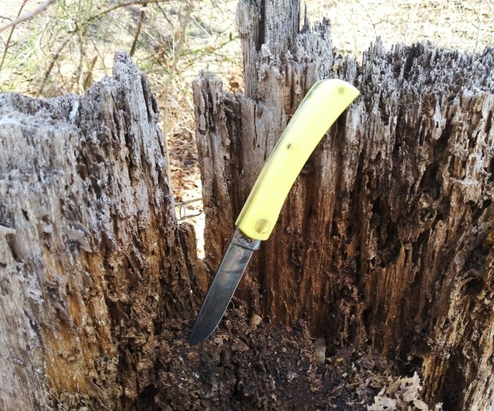 Yeller Soddie Jr. Stumped.jpg