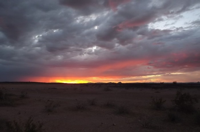 DSCF0307.JPG