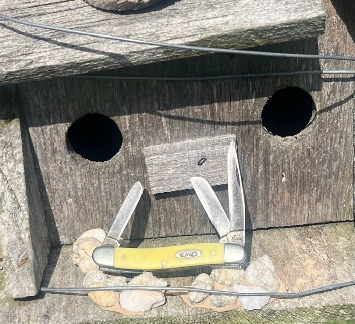 1000014477.jpg