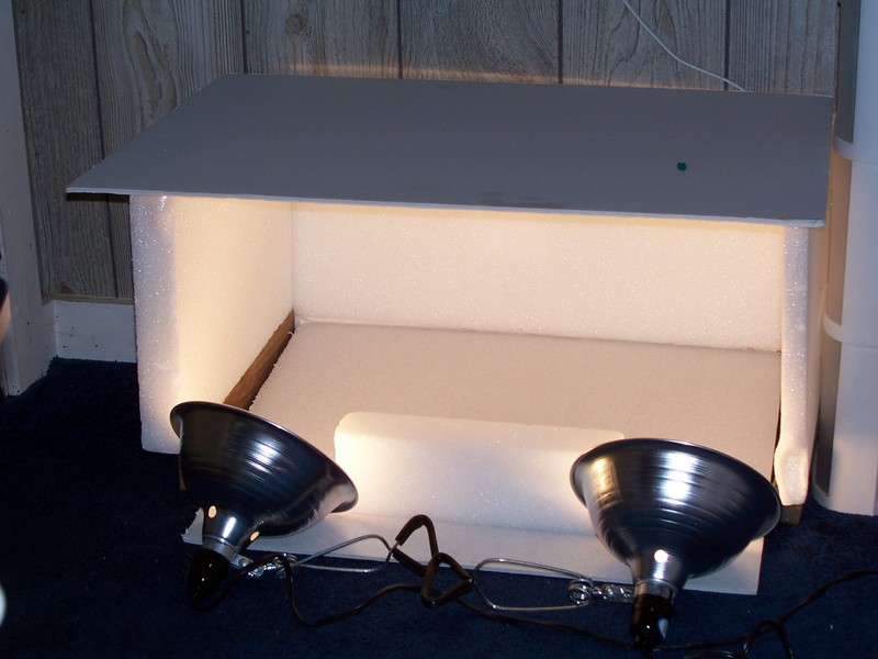 Blade Runners Photo Box.jpg