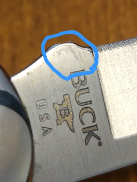 1000045943.jpg