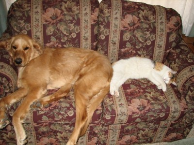Cheek to Cheek Friends.jpg