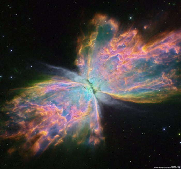 Butterfly_HubbleOstling_3656.jpg