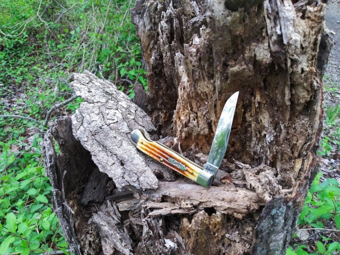 Trapper stumped I.jpg