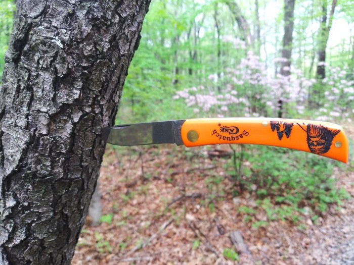 Squach on the trail I.jpg