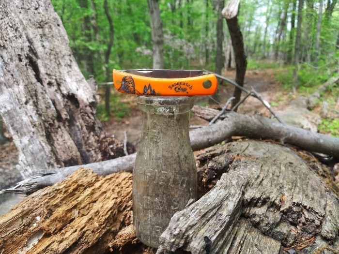 Squach on the trail II.jpg