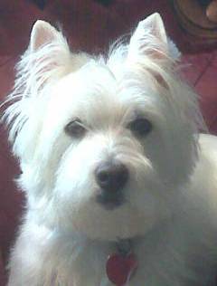IMG00029.jpg