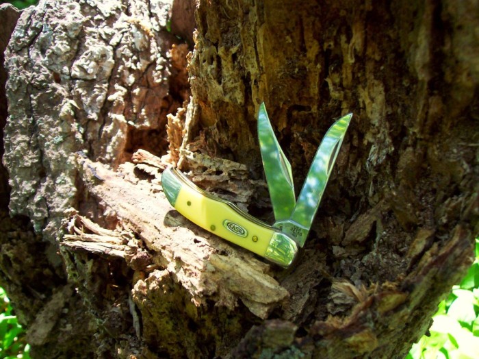 Pocket Hunter stumped.JPG