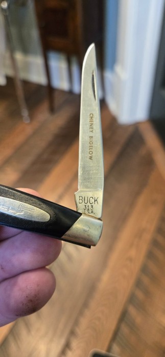 1000029513.jpg