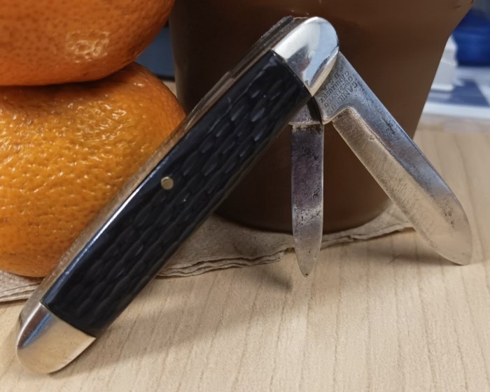 1000049255.jpg