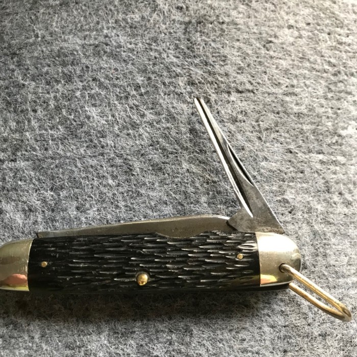 13C0D2F6-4BB0-4464-B881-10DAAA017830.jpeg