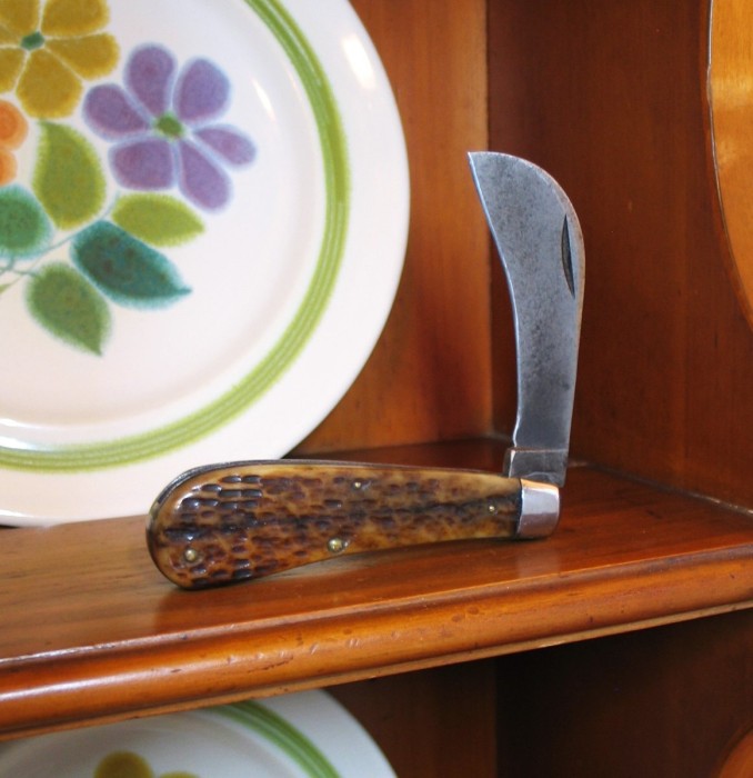 Case 61011 Hawkbill 1.JPG