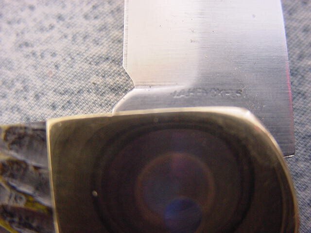 1664925125_4578_3.jpg