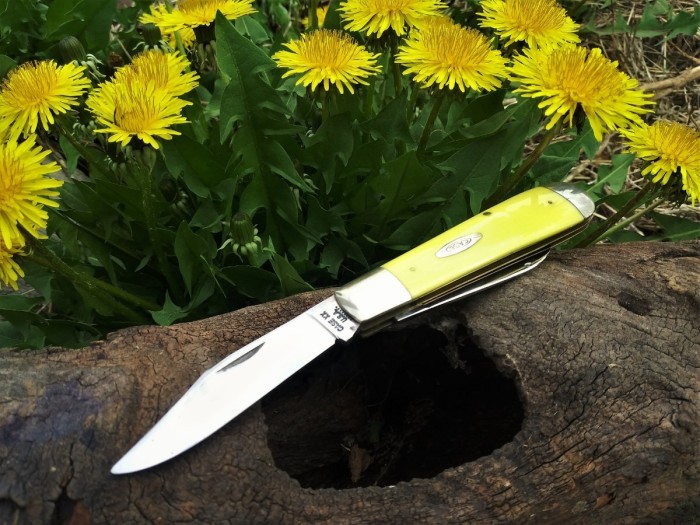 Rail Splitter spring shot.jpg
