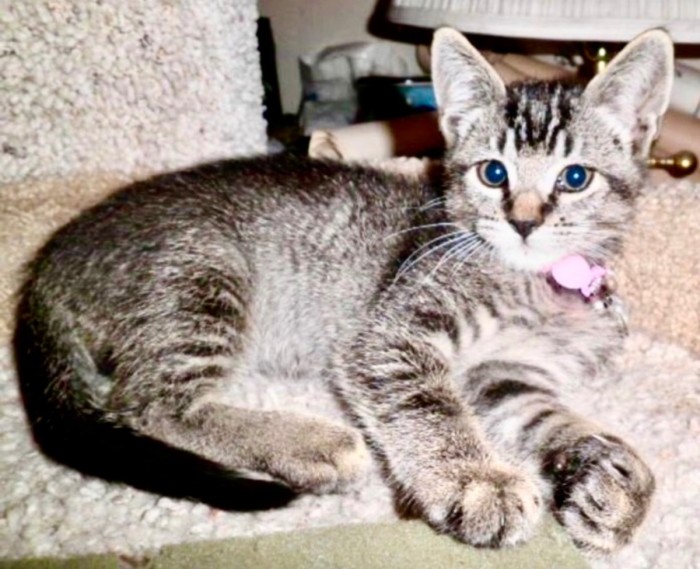 October 2014.<br />A Couple Of Weeks After I Got Her.