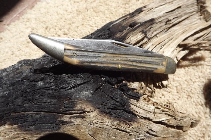DSCF0548.JPG