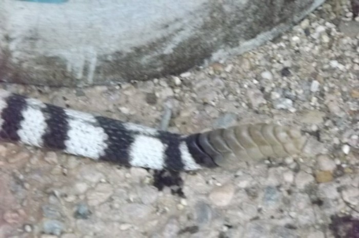 DSCF0571.JPG