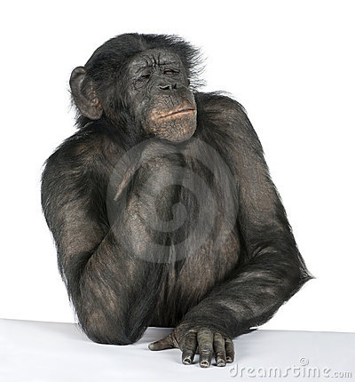 Big Monk Surprised !!!.jpg