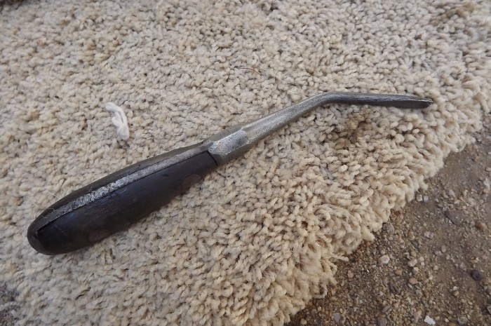 DSCF0592.JPG
