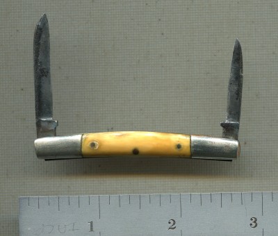Electric Ivory3.jpg