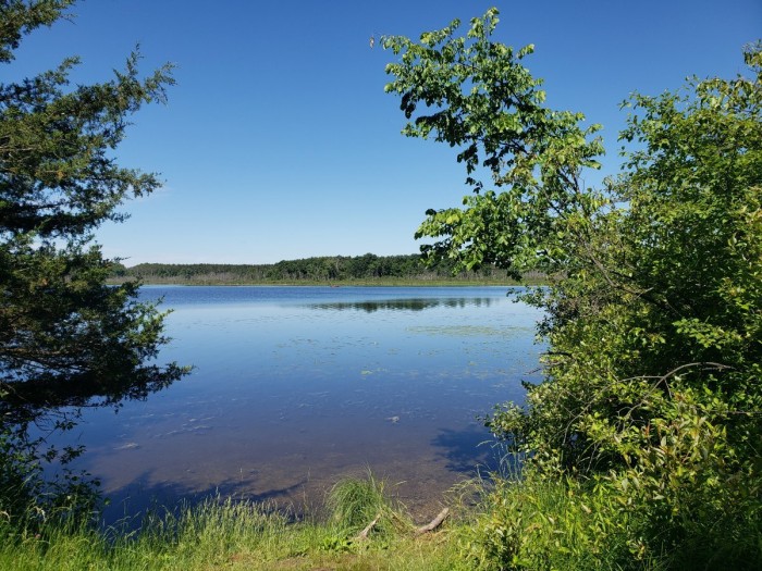 20260623_103449.jpg