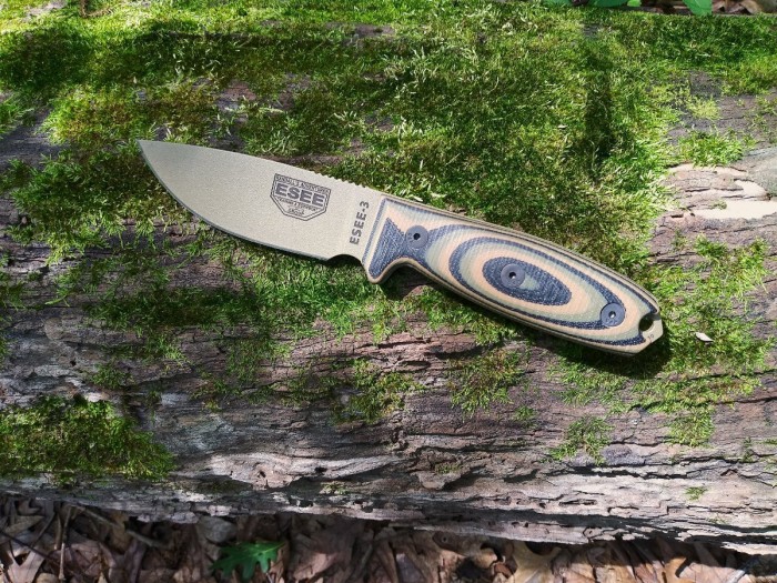 ESEE 3 treed II.jpg