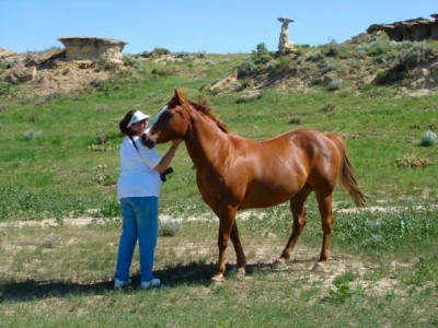 HorseJune07-04.jpg