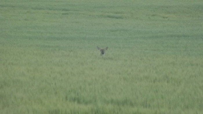 DSCF1008.JPG