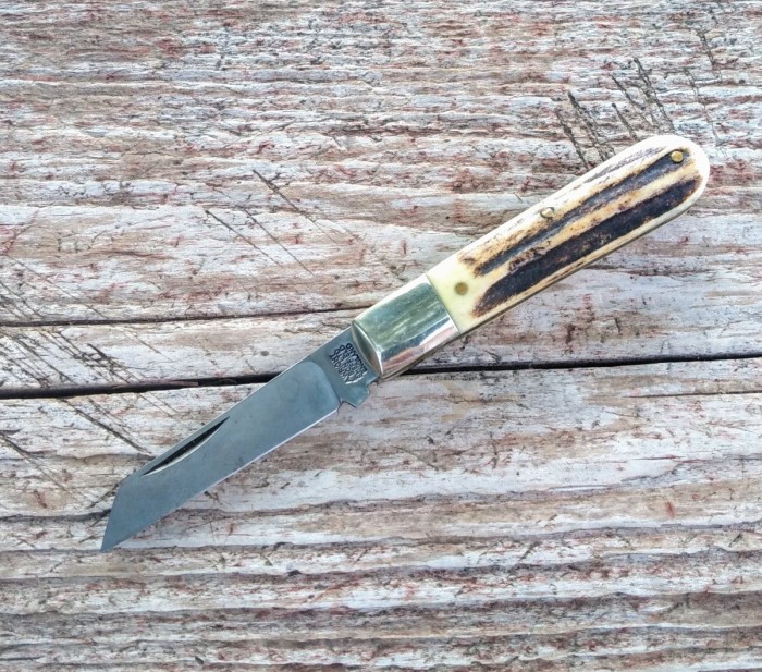 KIMG6725~2.JPG