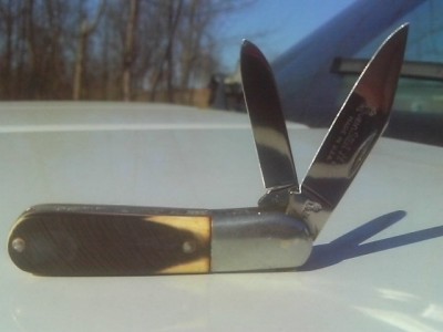 IMAG0146.JPG