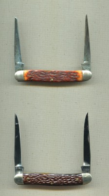Kutmaster muskrats.jpg