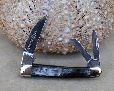 Buffalo Horn Seductress PROTOTYPE 002.jpg