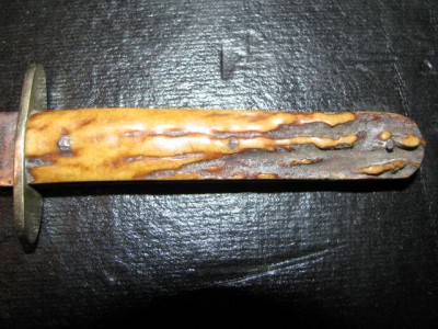 Stag0024.jpg