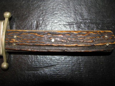 Stag0022.jpg