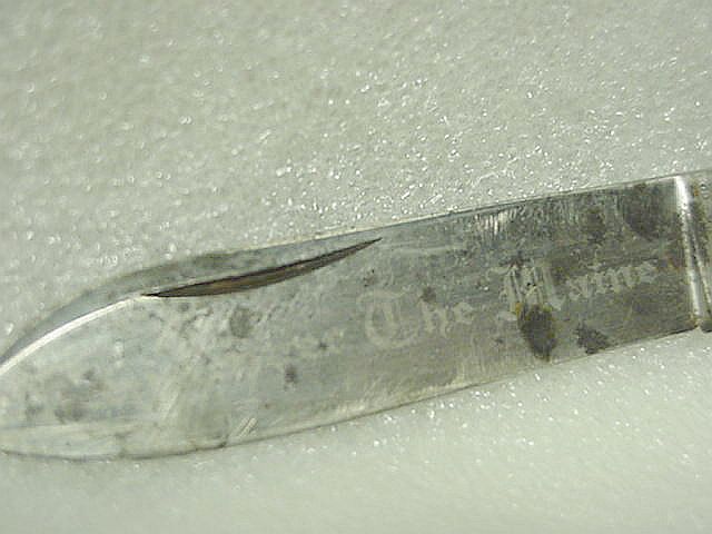 19.JPG