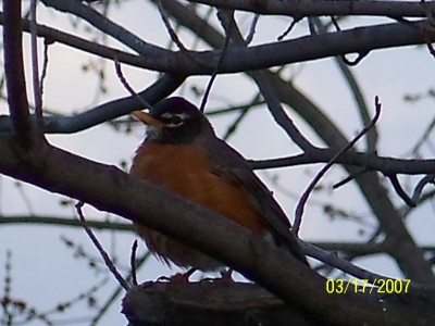03-17-07 071.jpg