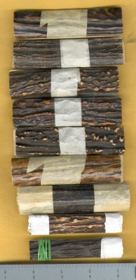 StagScales9.jpg