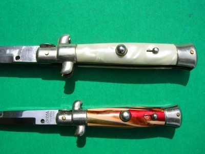 DSCN6565.jpg