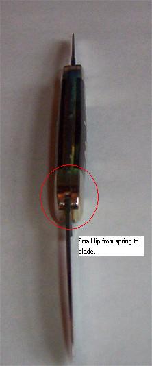 100_0309.JPG